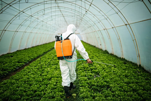 Best Local Pest Control Services  in Waterman, IL