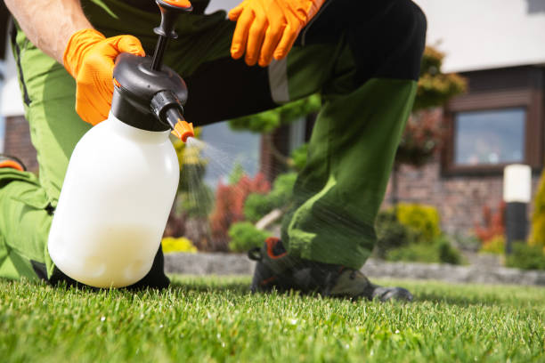 Best Termite Control Services  in Waterman, IL