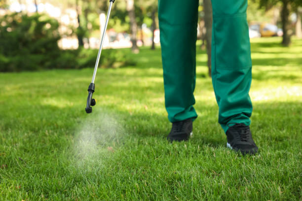 Best Affordable Pest Control Services  in Waterman, IL