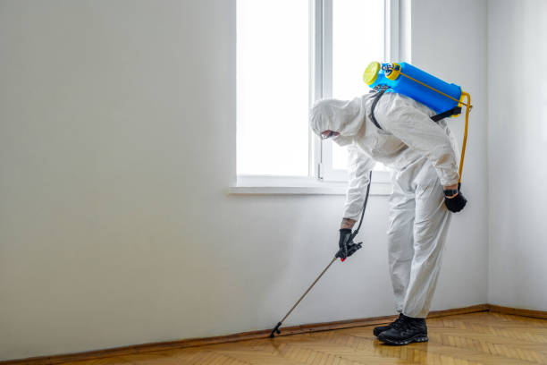 Best Exterminator Services  in Waterman, IL