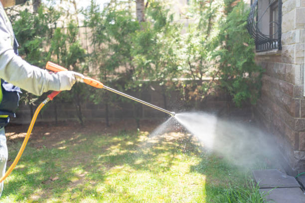 Best Emergency Pest Control  in Waterman, IL