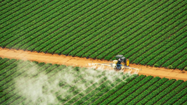 Pest Control Cost in Waterman, IL