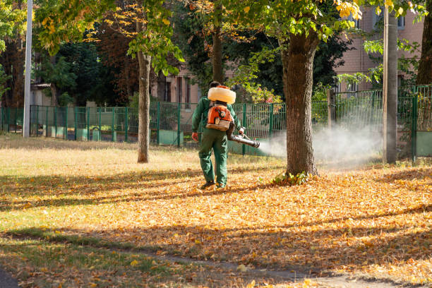 Professional Pest Control in Waterman, IL