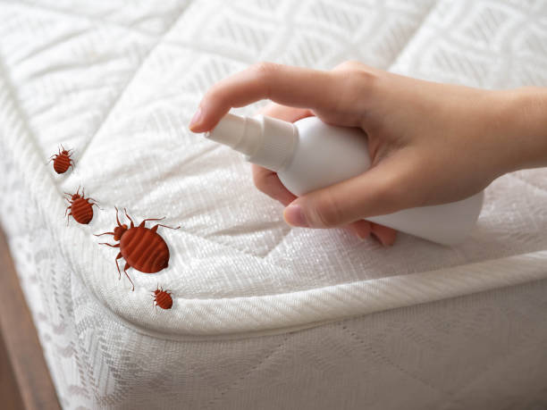 Best Pest Control for Homes  in Waterman, IL