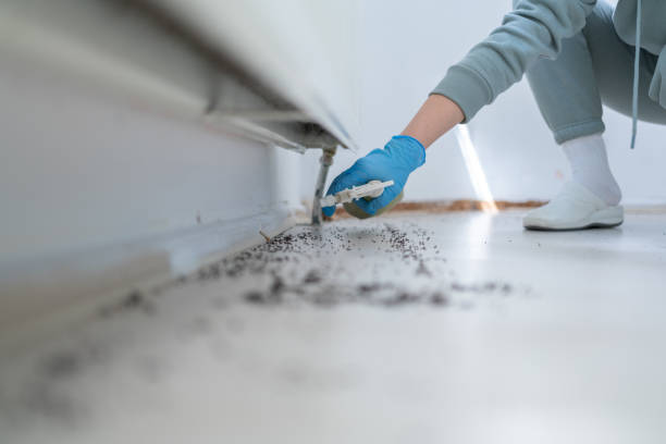 Best Pest Control Treatment  in Waterman, IL